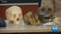 Researchers Discover New Human Species