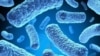 Fighting Multi-Drug Resistant Tuberculosis