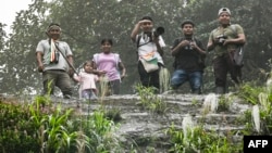 Indigenous environmental guards stand in the El Gran Sabalo Indigenous Reservation near El Diviso, Narino department, Colombia, Aug. 31, 2024.