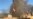 Will Iraq Return to Full-Blown Sectarian Civil War?