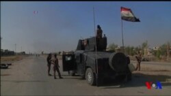 Xalqaro hayot - 25-oktabr, 2016-yil