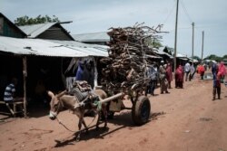 FILE - A donkey pulls a cart loaded with firewood at the Dadaab refugee complex, northeastern Kenya, April 18, 2018.