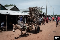 FILE - A donkey pulls a cart loaded with firewood at the Dadaab refugee complex, northeastern Kenya, April 18, 2018.