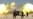 Iraqi Security Forces Storm Fallujah in Bid to Retake City