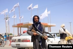 Combatiente talibán en la ciudad de Ghazni, el 13 de agosto de 2021.