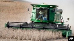 2019年10月17日联合收割机在内布拉斯加州布莱尔乡村收获大豆。