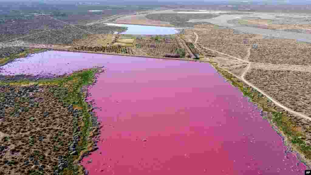 The waters of the Corfo lagoon are pink in Trelew, Chubut province, Argentina, July 29, 2021. Local environmentalists attribute the color to increased pollution from a nearby industrial park. 