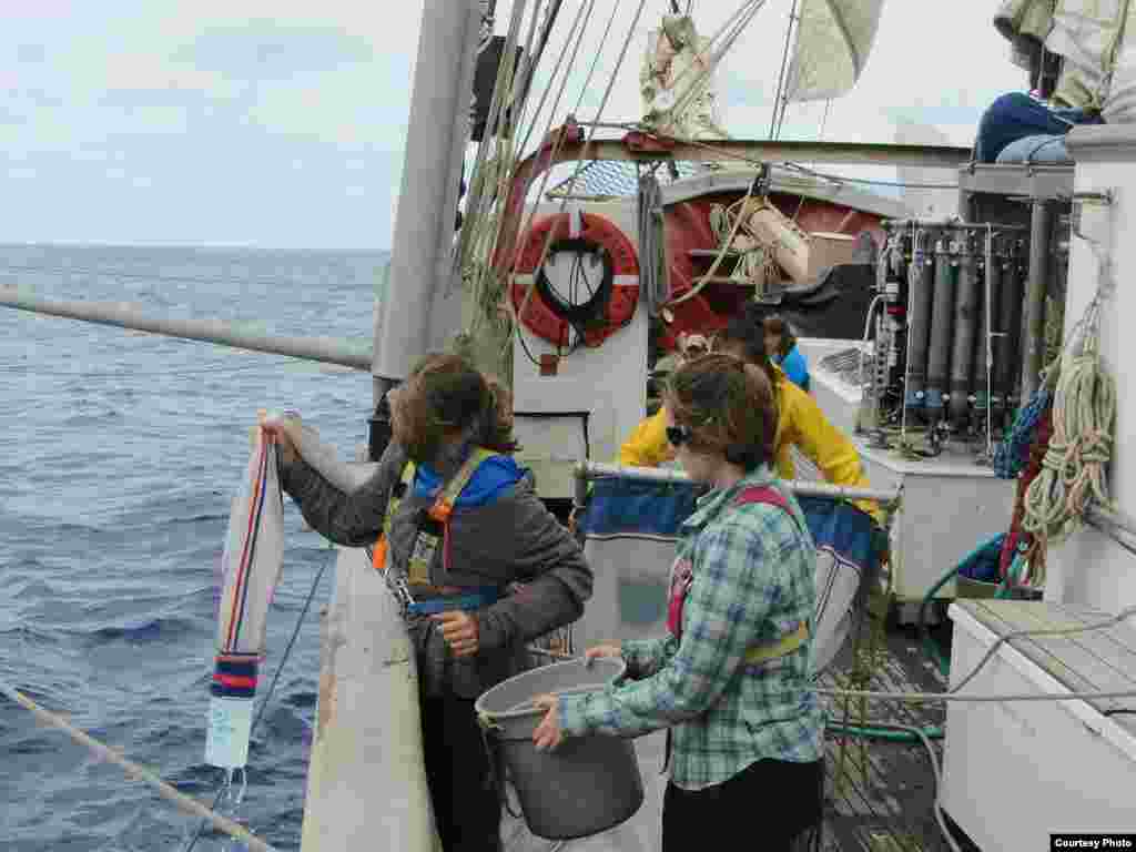SEA Semester students Allison Adams and Annie Scofield retrieve nets with plastic and plankton in them. (Credit: E. Zettler, SEA Education Association) 
