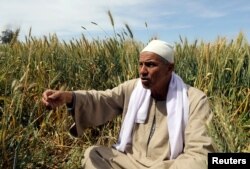 Farmer Mohamed Abdelkhaleq speaks during an interview with Reuters in a field in the Beheira Governorate, north of Cairo, Egypt, April 4, 2018.