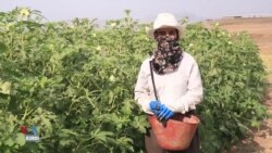 هەرێمی کوردستان: ئاستەنگی گەورە لە بەردەم کارکردنی ژناندا هەیە  