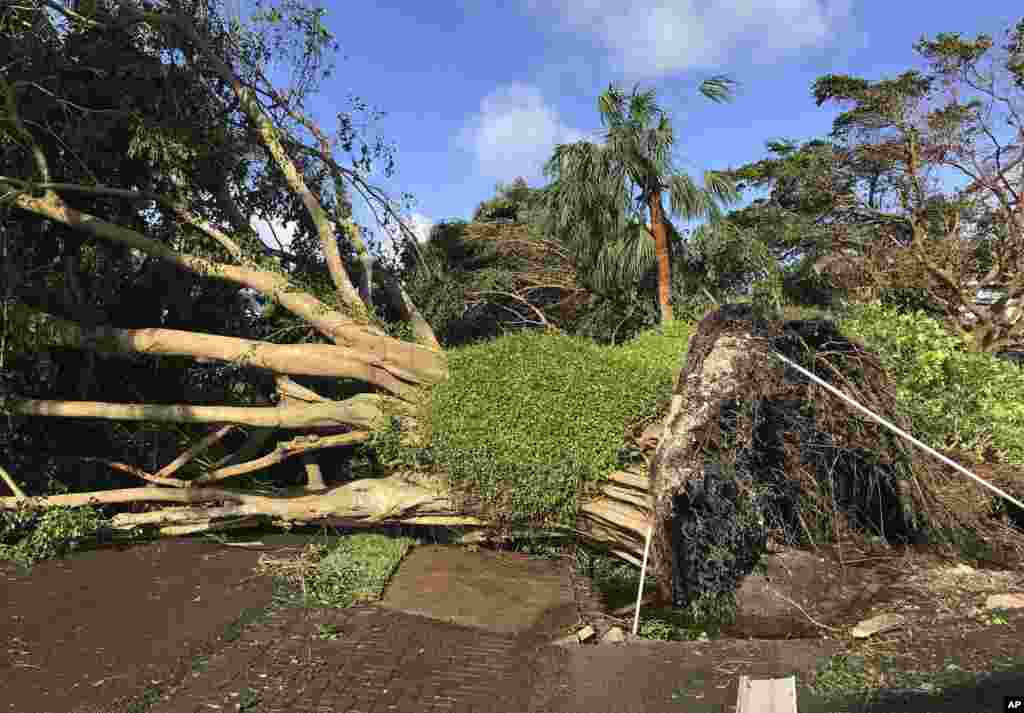 Debris lines a street in Naples, Florida, in the aftermath of Hurricane Irma, Sept. 11, 2017. Florida Gov. Rick Scott said there&#39;s damage across the state caused by Hurricane Irma and it&#39;s still too dangerous for residents to go outside or return from evacuation.