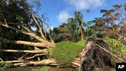 Puing-puing berserakan di sebuah jalan di Naples, Florida setelah Badai Irma, 11 September 2017.