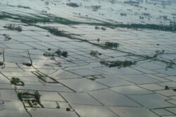 This UNICEF photo taken on May 21, 2008 shows fields inundated with water at an undisclosed location in the Irrawaddy Delta region of Myanmar.