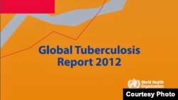 17일 세계보건기구가 발표한 '2012 세계 결핵통제' 보고서 표지.
