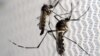 Jawa Timur Waspadai Masuknya Virus Zika