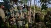 剛果軍隊稱奪回東部兩座城鎮