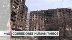 El Mundo al Día
