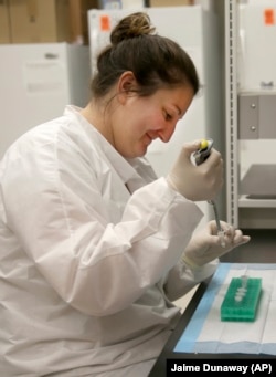 Ph.D. candidate Nicole Novroski works with DNA at the Center for Human Identification research and development lab at the University of North Texas.