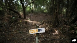 FILE - A wooden sign indicates clandestine grave number 104 where almost 300 were found in Colinas de Santa Fe, Mexico, Oct. 15, 2018. 