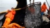 US, 12 Countries to Start WTO Negotiations to Ban Fishery Subsidies