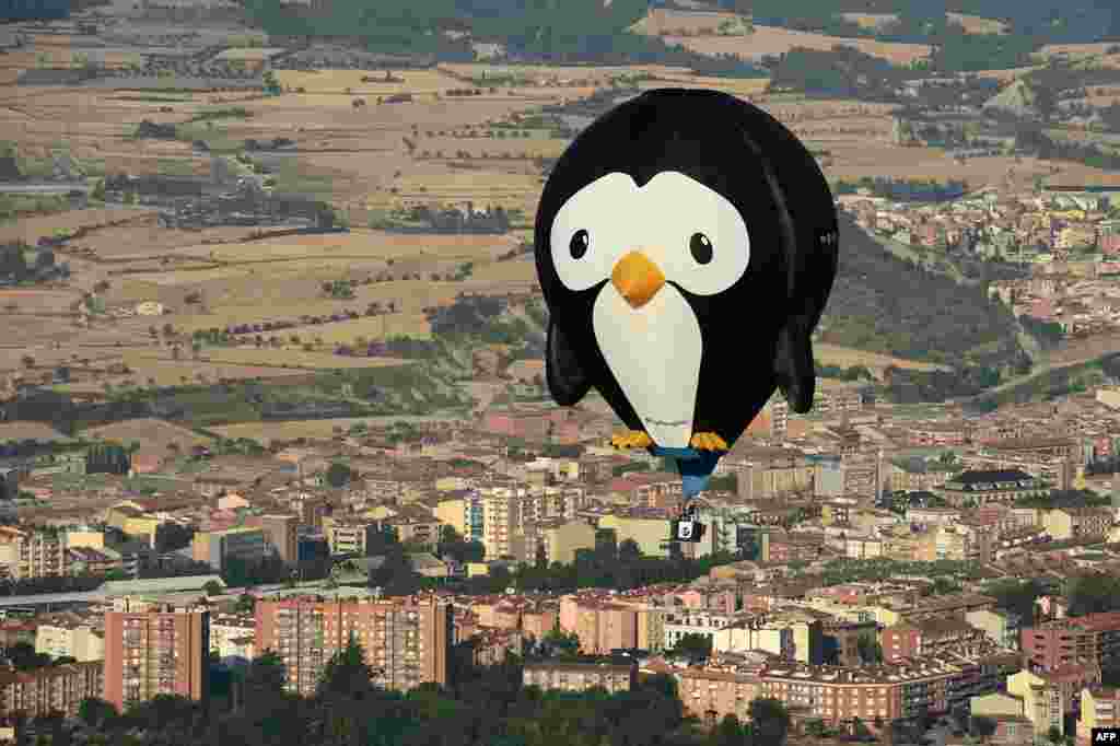 A bird-shaped hot-air balloon flies during the 20th European Balloon Festival in Igualada, near Barcelona, Spain.