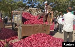 A farmer sits on a tractor trolley after auctioning his onions at Lasalgaon market in Nashik in the western state of Maharashtra, India, Dec. 19, 2018.
