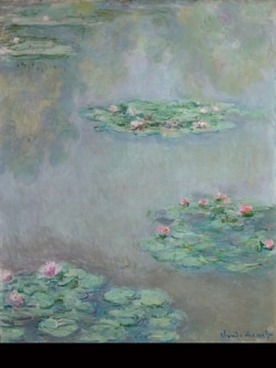 Claude Monet, Nymphéas, 1908