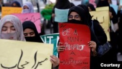 په پاکستان کې په ټولینزو رسنیو کې هم د ښځو د نړیوالۍ ورځې په پلوۍ او ضد تبصرې شوي دي
