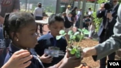 Children learn about plant science at the Natural History Museum of Los Angeles County.
