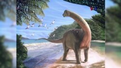 Nueva especie de dinosaurio en Egipto