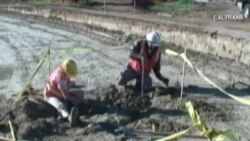 Hallazgo paleontológico