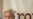 Assange pierde apelación