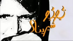 بي بي شیرینه – د ډیوه ریډیو په ټی وي خپرونه