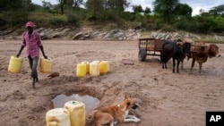 FILE—A man carries jugs to fetch water from a hole in the sandy riverbed in Makueni County, Kenya, February 29, 2024.