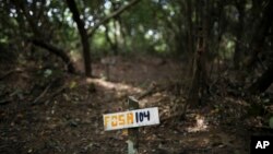 FILE - A wooden sign indicates clandestine grave number 104, where almost 300 bodies were found in Colinas de Santa Fe, Mexico, Oct. 15, 2018. 