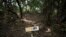 FILE - A wooden sign indicates clandestine grave number 104, where almost 300 bodies were found in Colinas de Santa Fe, Mexico, Oct. 15, 2018. 