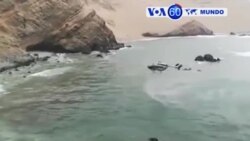 Manchetes Mundo 3 Janeir 2018: Pyongyang quer comunicar com Seul