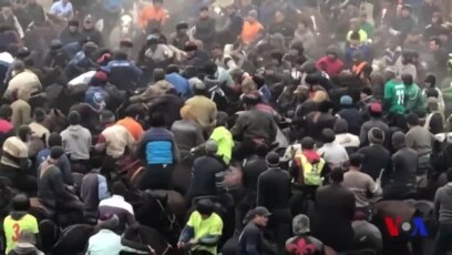 Bugungi Farg'ona: Hosil bayramida uloq va osh