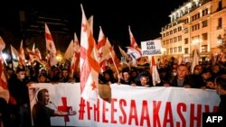 Тбилиси: демонстрация с требованием освобождения Михаила Саакашвили (архивное фото) 