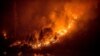 آتش‌سوزی‌های گسترده در جنگل‌های هیرکانی، میراث تاریخی و طبیعی ایران
