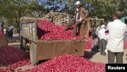 인도 나시크의 농산품 공판장에서 농부가 양파를 팔기 위해 기다리고 있다. (자료사진)