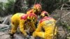 Para anggota tim penyelamat melakukan pencarian di lereng gunung selama pencarian jenazah seorang pejalan kaki di Hualien, sehari setelah gempa besar melanda wilayah timur Taiwan, Kamis (4/4).