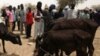 Au moins 20 morts dans des affrontements entre éleveurs et agriculteurs au Niger