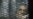 Egyptian Court Returns Al Jazeera Reporters to Prison