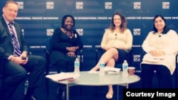 Nyaradzo Mashayamombe (second left), executive director of Tag a Life International and a fellow at the National Endowment for Democracy, at a domestic violence seminar convened by the Center for International Private Enterprise in Washington DC. 