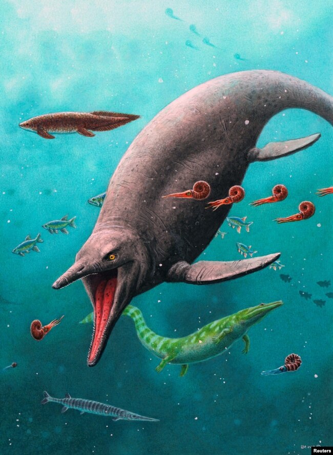 An artist's reconstruction shows the earliest-known Ichthyosaur, along with other marine creatures in the 250-million-year-old ecosystem found on the remote Arctic island of Spitsbergen, Norway, in this undated handout image obtained by Reuters on March 14, 2023. (Esther van Hulsen/Handout via REUTERS)