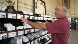 Paul Wallace of Petaluma Seed Bank looks at heirloom seeds. Many are traditional varieties passed down from generation to generation.