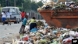 Children sift through garbage at a dump site in Harare, Zimbabwe, on President Robert Mugabe's 87th birthday, February 21, 2011 (File photo)