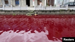 This man looking a polluted river in China's Zhejiang province might be thinking, "This just can't be good." (July 24, 2014)
