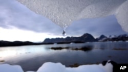 An iceberg melts near the arctic circle, Kulusuk, Greenland.
